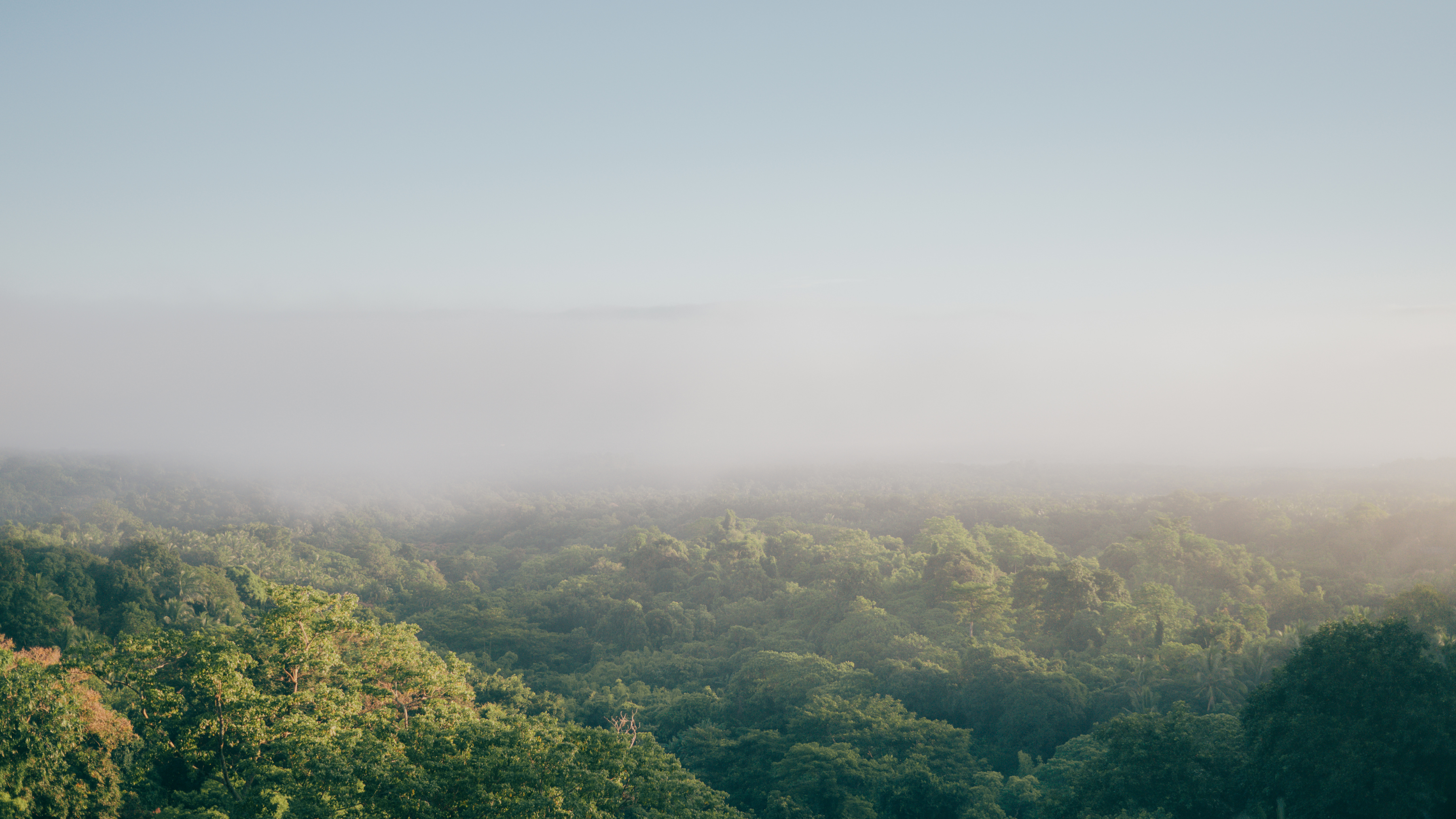 I congreso internacional sobre sostenibilidad: Los parámetros ESG en la Unión Europea para un contexto empresarial sostenible