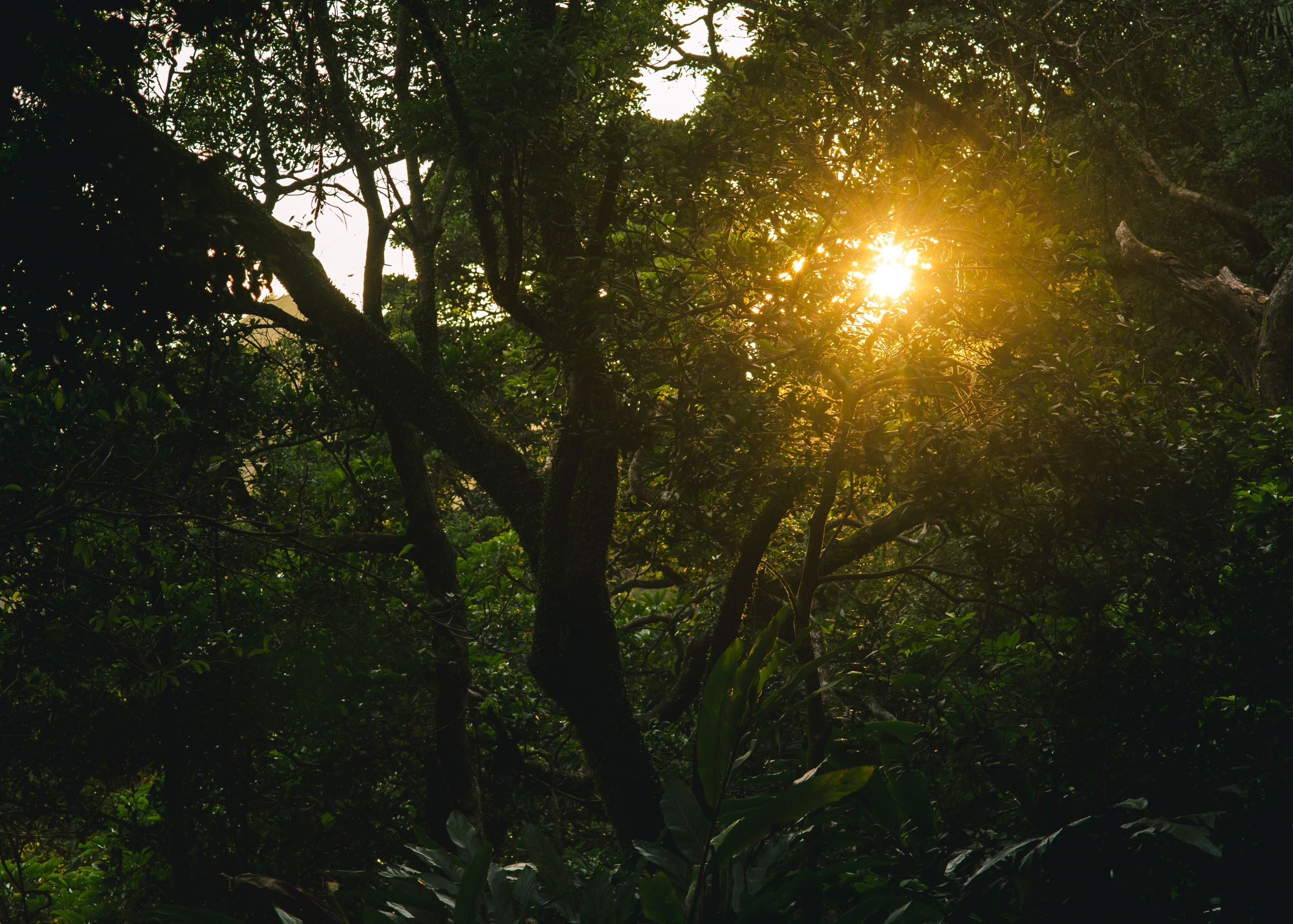 Cátedra de Sostenibilidad ICADE /  Gómez-Acebo & Pombo