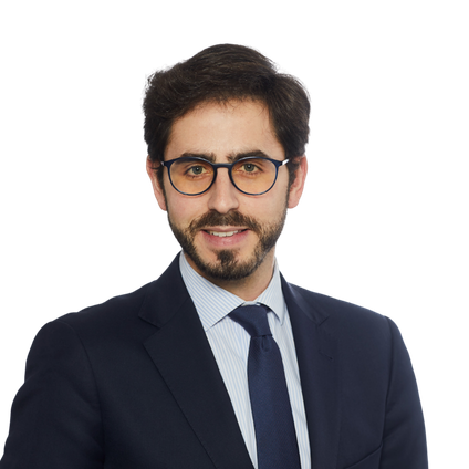 Javier de Diego de Mingo